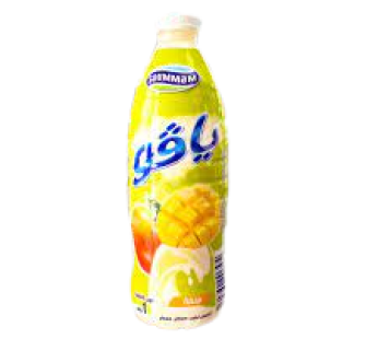 Yaourt à boire Yago Soummam Mangue -1L