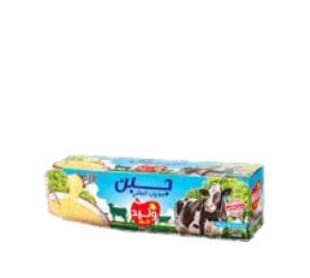 Fromage à tartiner Walid – 500g